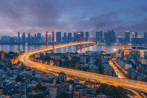 武漢77個(gè)項(xiàng)目招商引資,14個(gè)項(xiàng)目涉及人工智能 智能制造