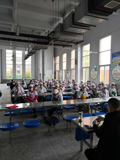 筑牢校園食品安全防線 射洪市經(jīng)開區(qū)市場監(jiān)管所深入綠然國際學(xué)校開展專項(xiàng)培訓(xùn)